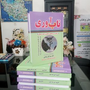 تاب‌آوری: راهبرد رویاهای ممکن و غیرممکن